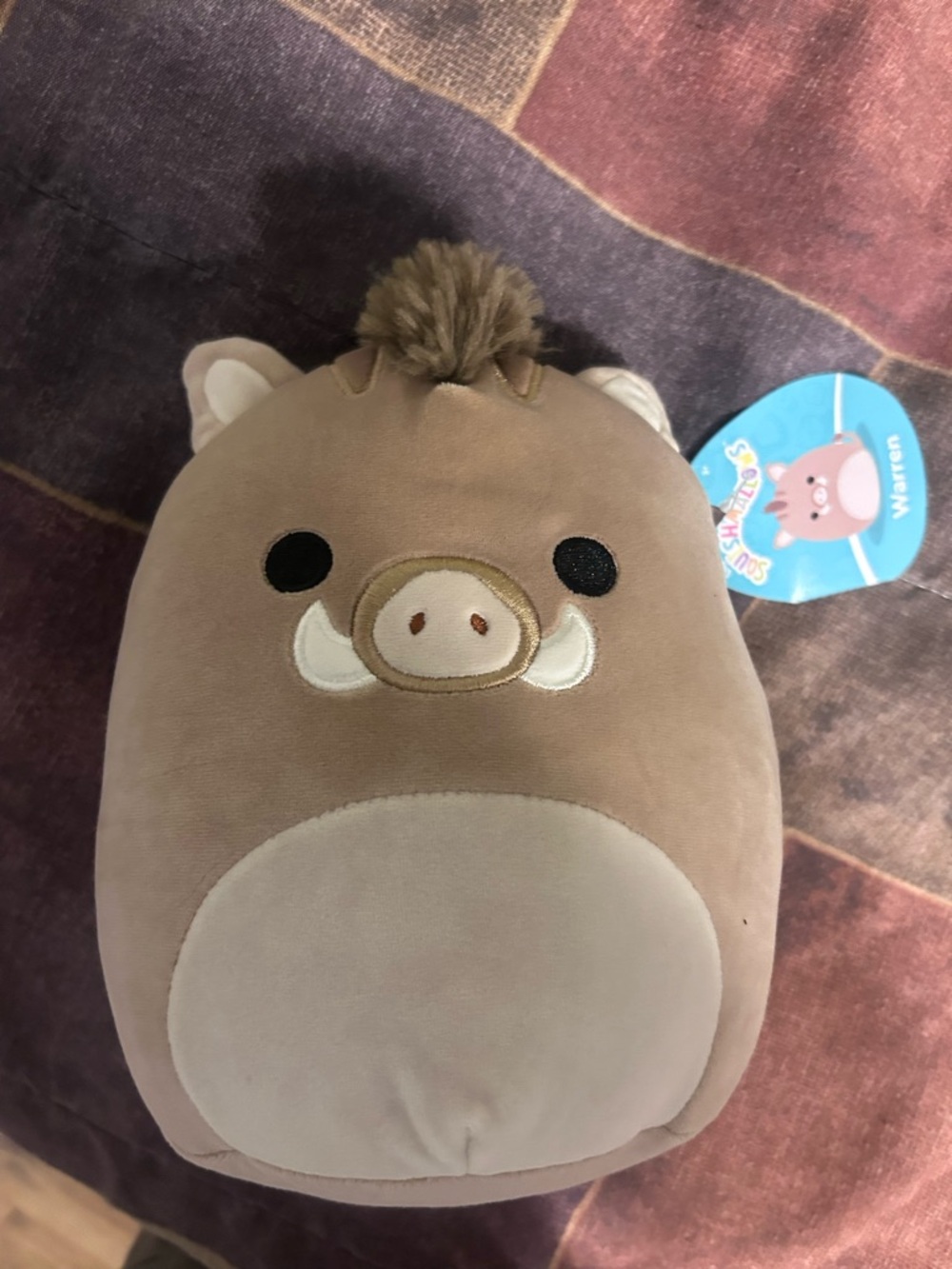 Squishmallows Warren Boar Plush - Brown and Cream